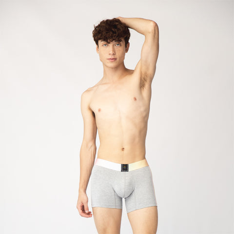 Proud Cotton Boxer Brief